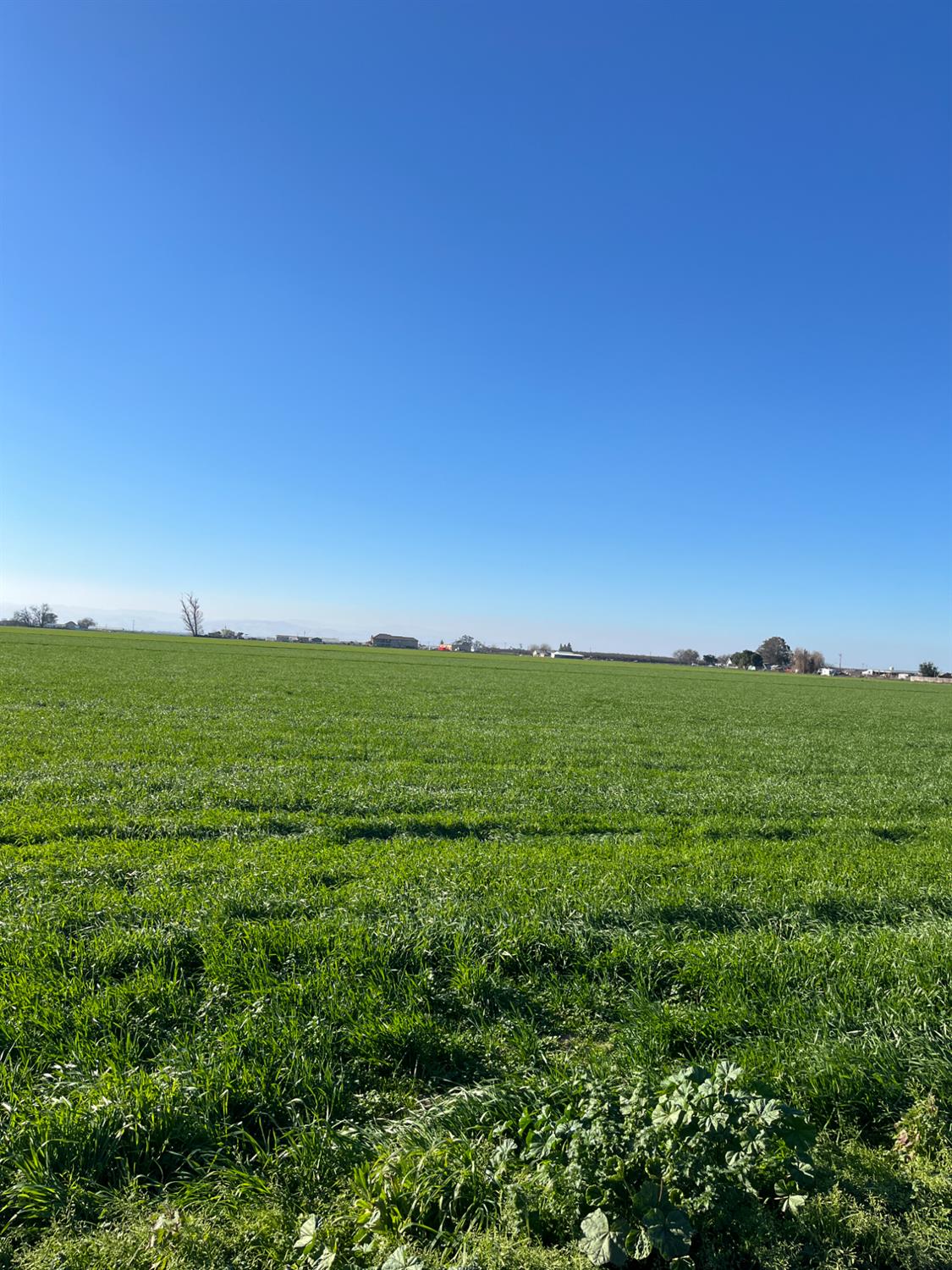 6425 South Prairie Flower Road Turlock, CA 95380 - Photo 4 of 22