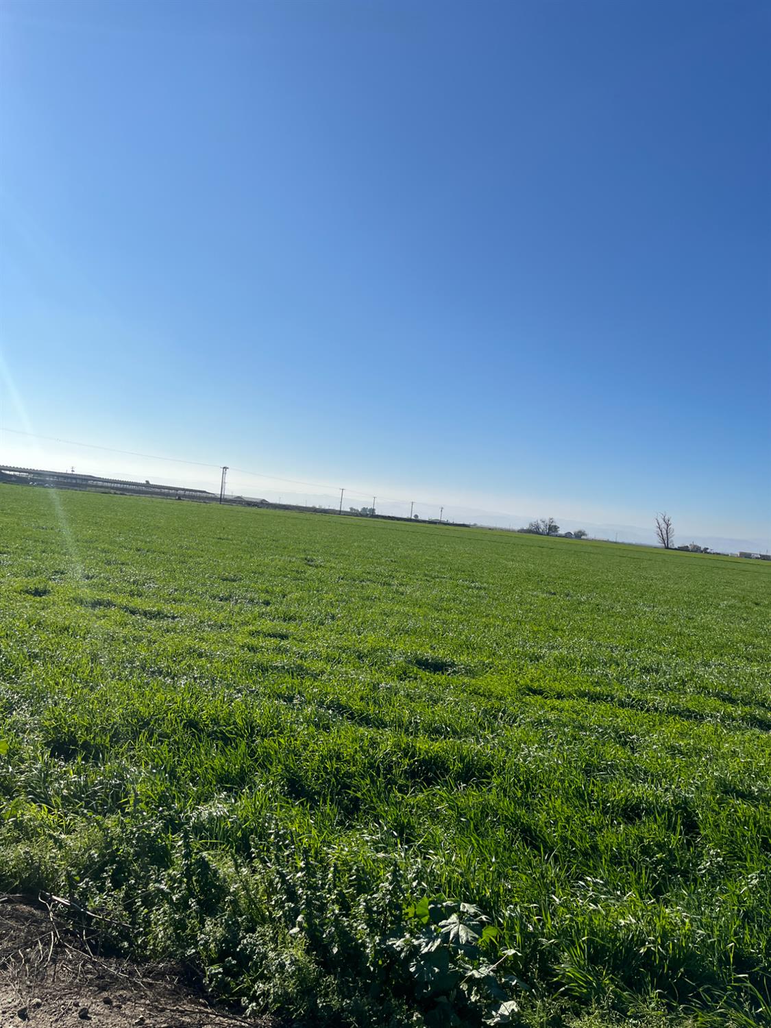 6425 South Prairie Flower Road Turlock, CA 95380 - Photo 5 of 22 a view of an ocean