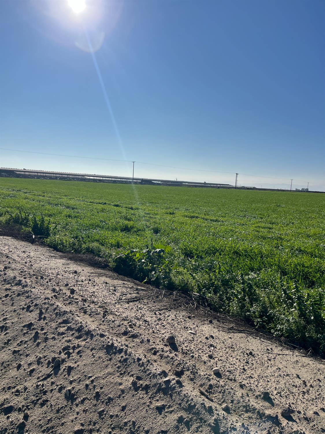 6425 South Prairie Flower Road Turlock, CA 95380 - Photo 6 of 22 a view of an ocean beach and a yard