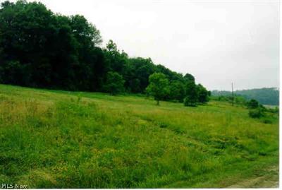 Battleridge Road Cambridge, OH 43725 - Photo 1 of 1 Gallery Image 1