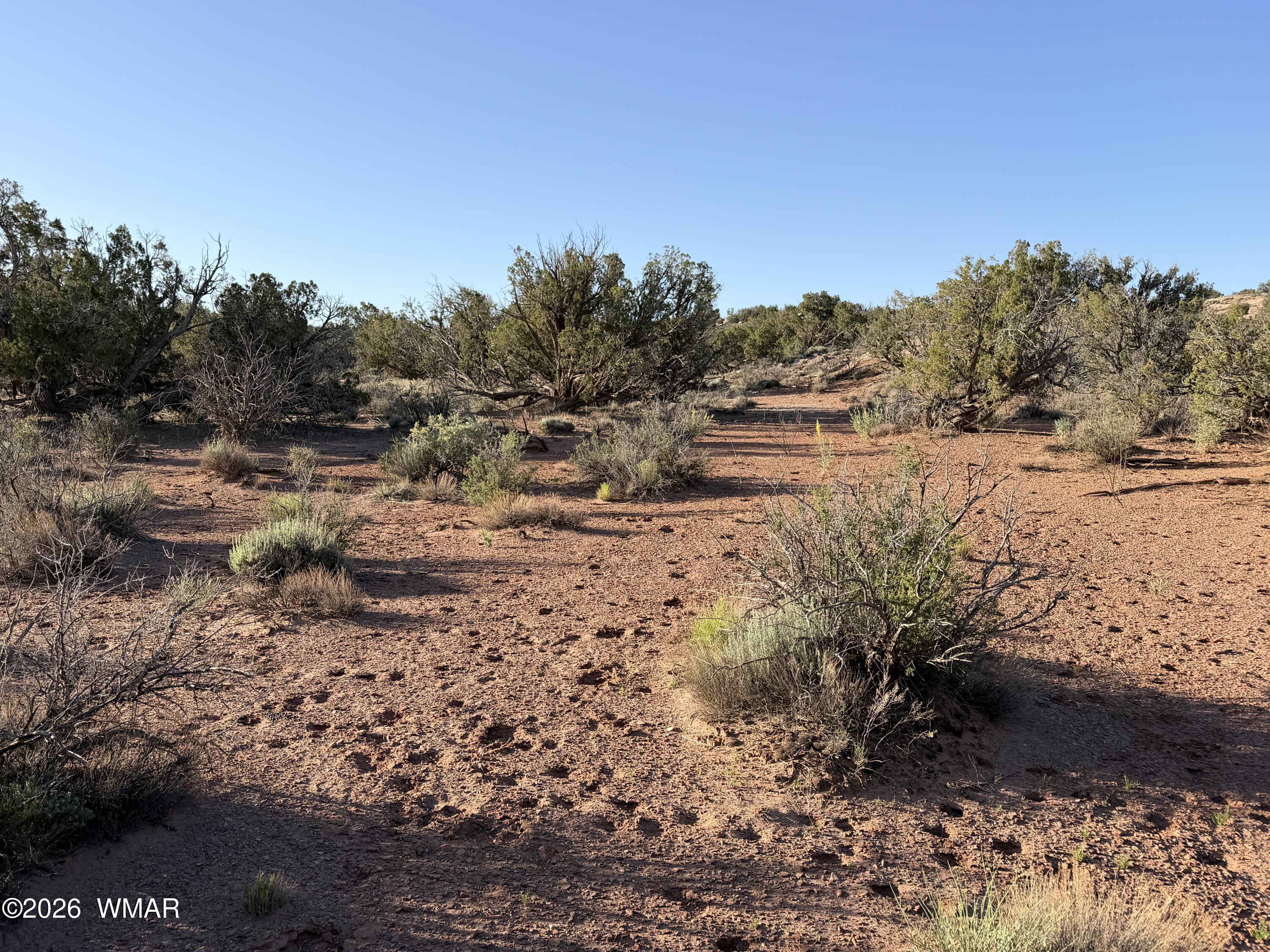 3791 Anasazi Road Snowflake, AZ 85937 - Photo 15 of 19 a view of mountain view with beach