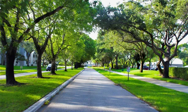 a park with large trees and playing area