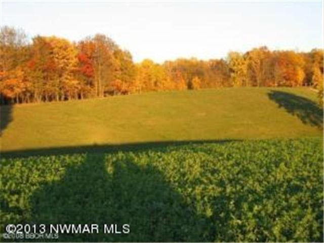 Tbd Bagley Lake Road Leonard, MN 56652 - Photo 8 of 14 Gallery Image 8
