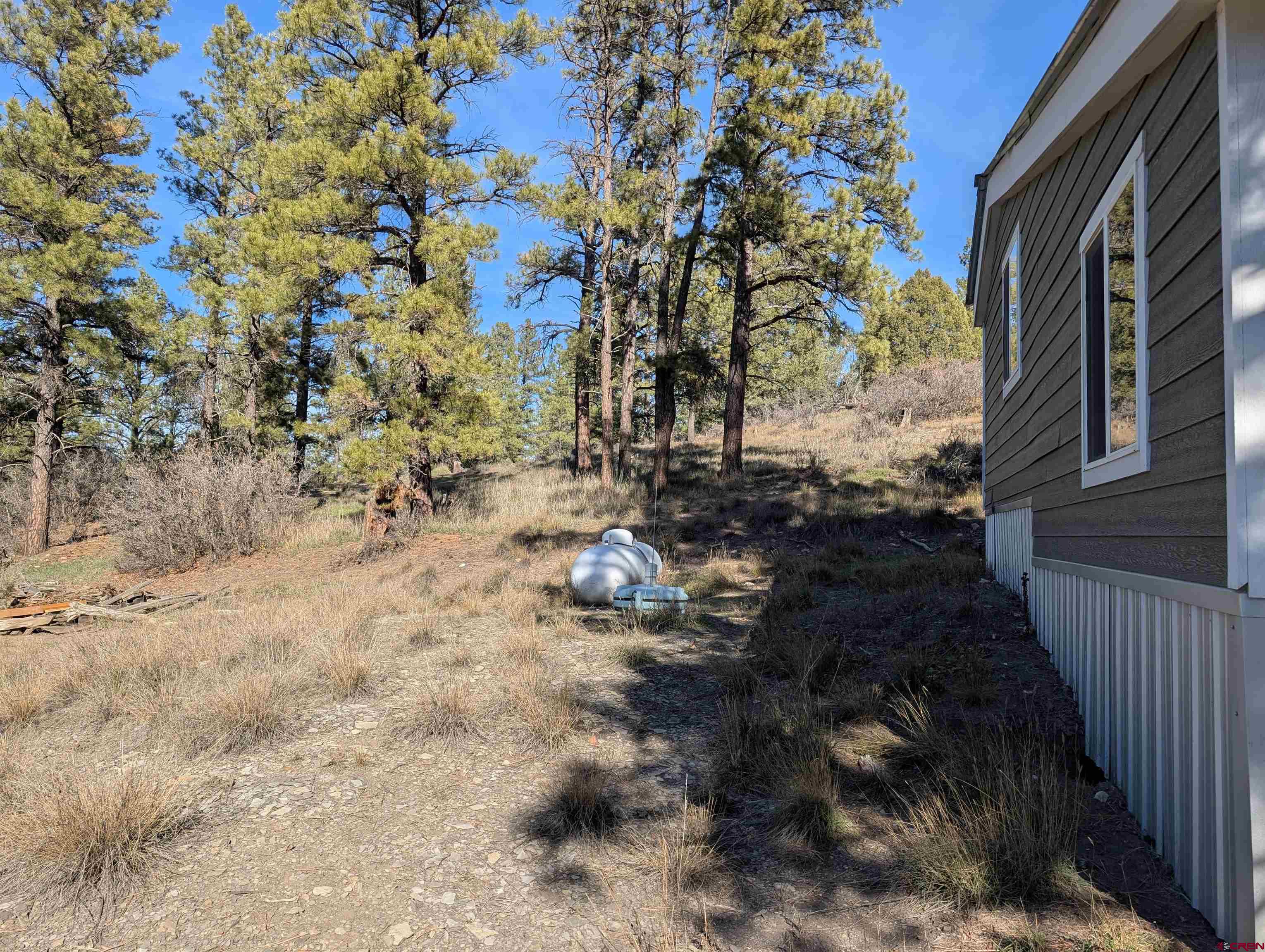472 Haystack Circle Pagosa Springs, CO 81147 - Photo 33 of 34 a view of a yard with plants