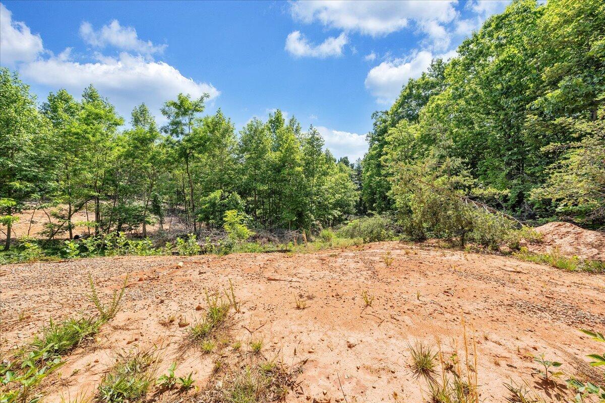 6427 Fork Mountain Road Rocky Mount, VA 24151 - Photo 19 of 21 19-MIB05587