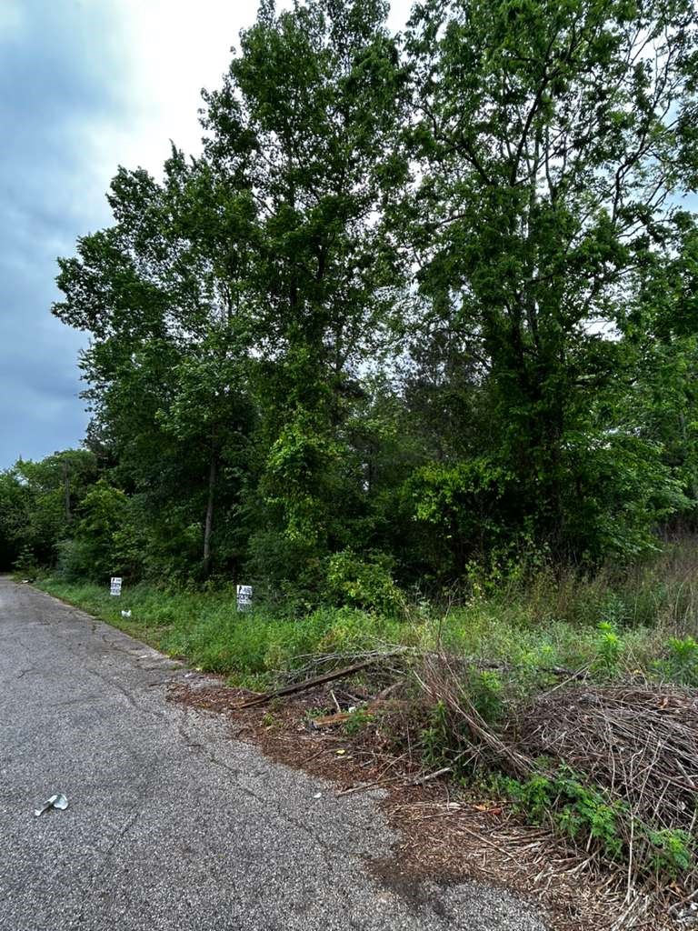 939 Avenue J Place Conroe, TX 77301 - Photo 3 of 8 a view of a forest with trees in the background