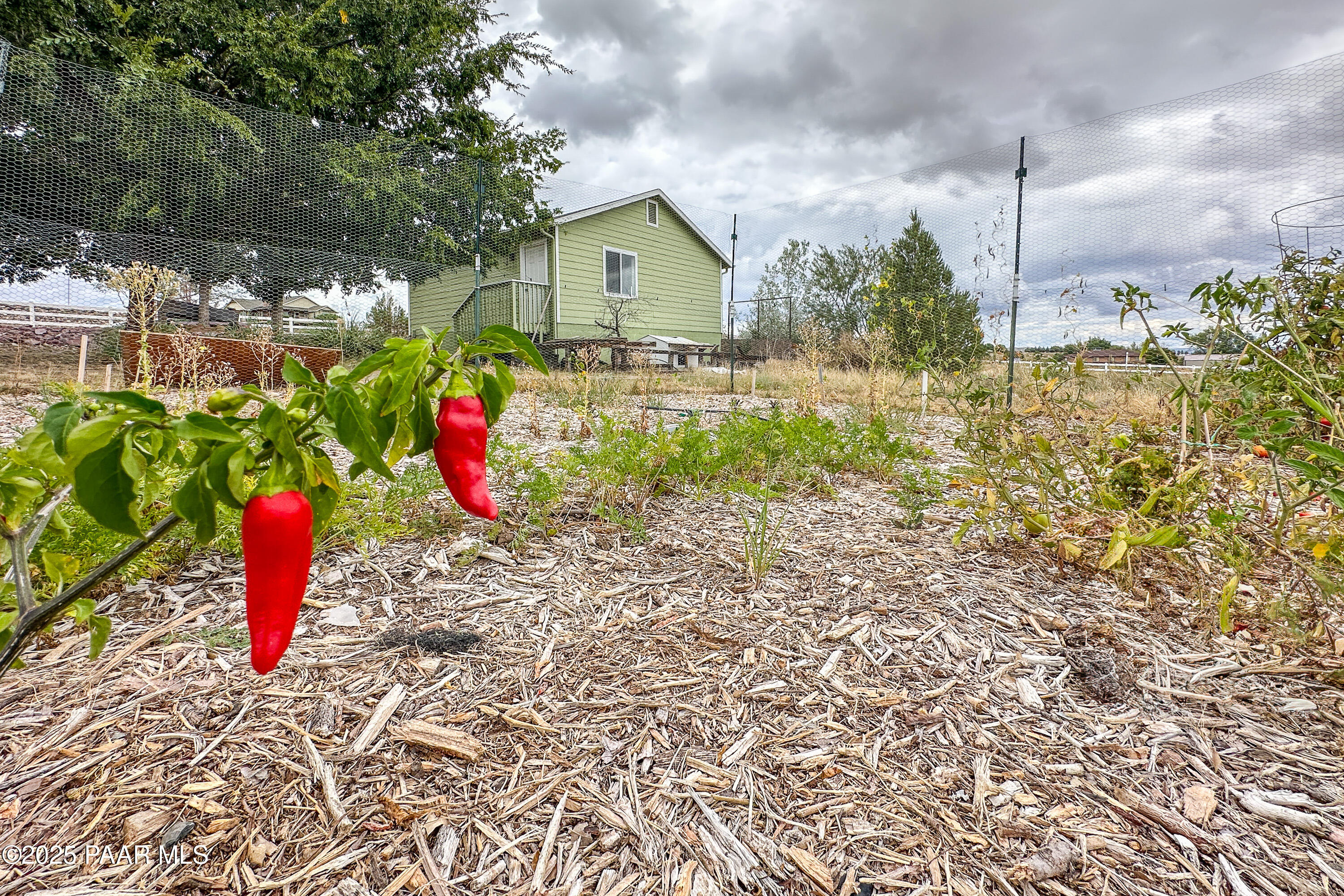 2695 West Owl Hill Road Chino Valley, AZ 86323 - Photo 23 of 47 Exterior Owl Hill-15