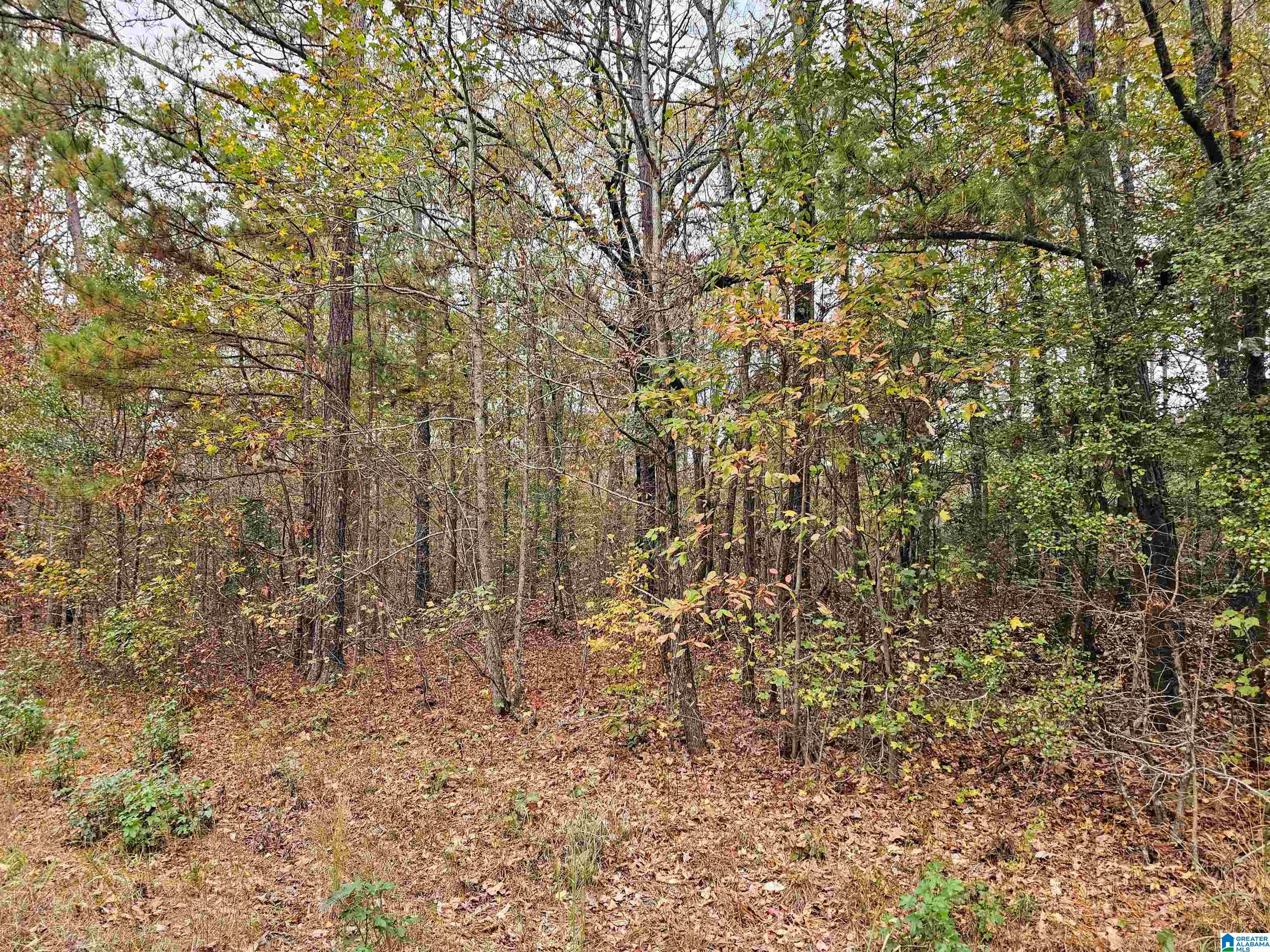 60 County Road 60, Unit 7 2 Heflin, AL 36264 - Photo 5 of 6