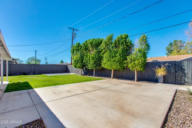 a view of a backyard with potted plants and large trees