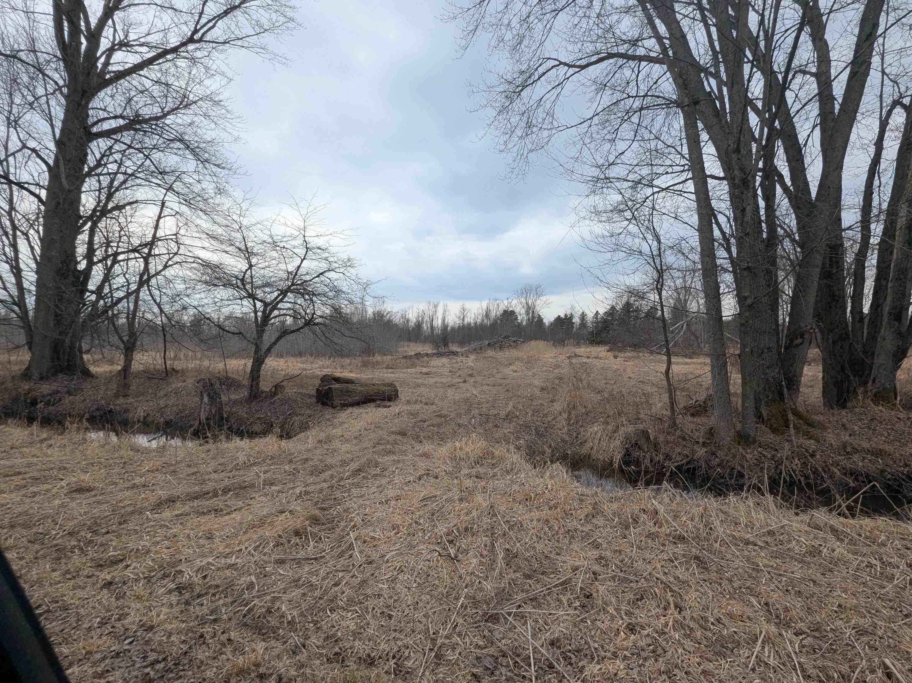 4438 Reynolds Road Turner, MI 48765 - Photo 9 of 40