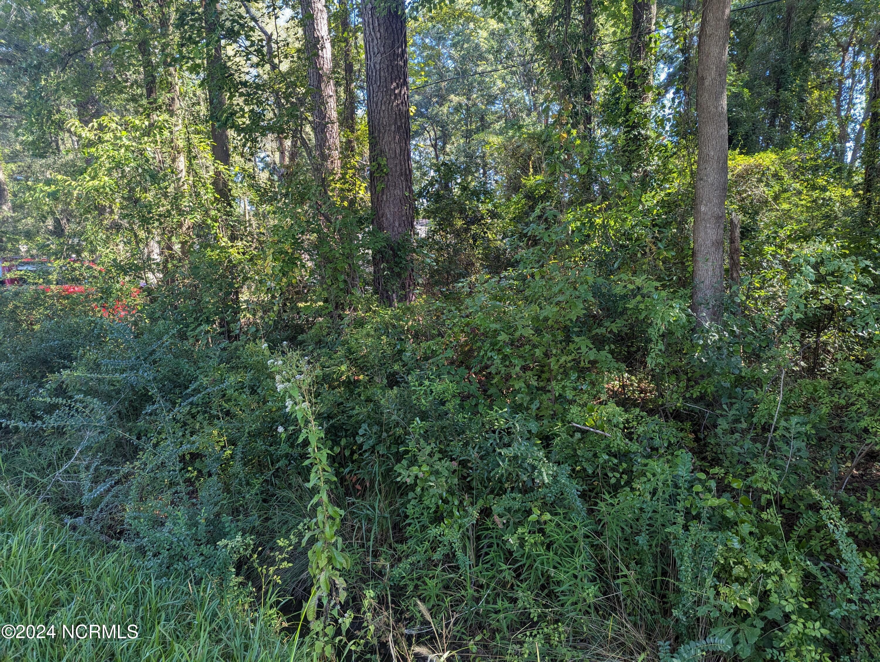 2117 Pony Farm Road Jacksonville, NC 28540 - Photo 4 of 4 PXL_20240909_142439853