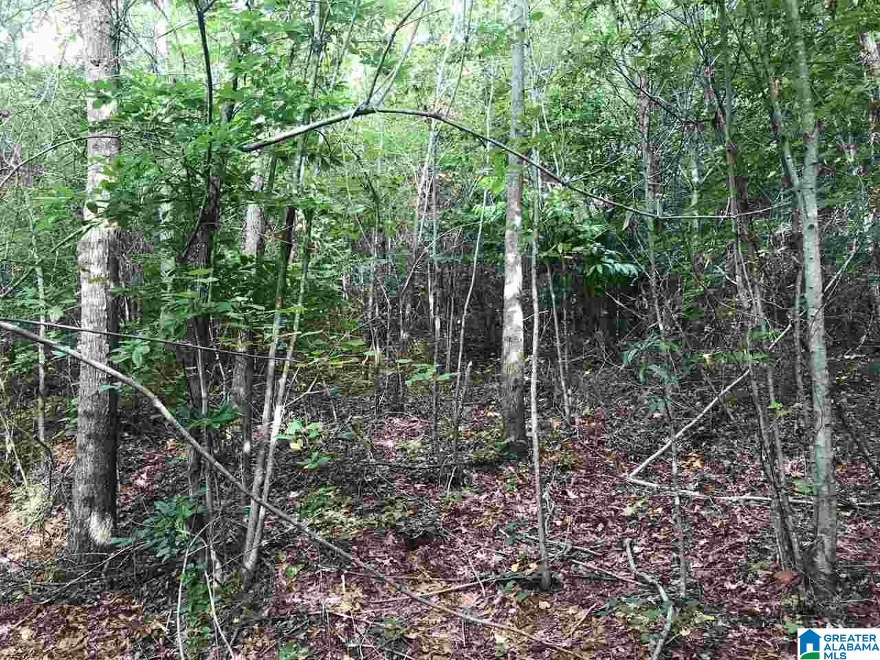 0 County Road 110 Ranburne, AL 36273 - Photo 5 of 14 Gallery Image 5