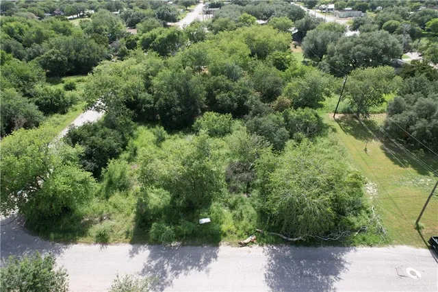 an aerial view of a forest with houses