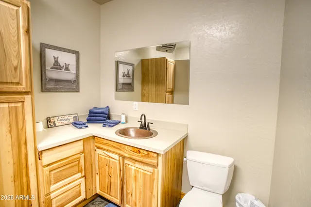 a bathroom with a sink and a toilet