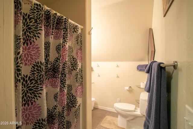 a bathroom with a toilet and a shower curtain