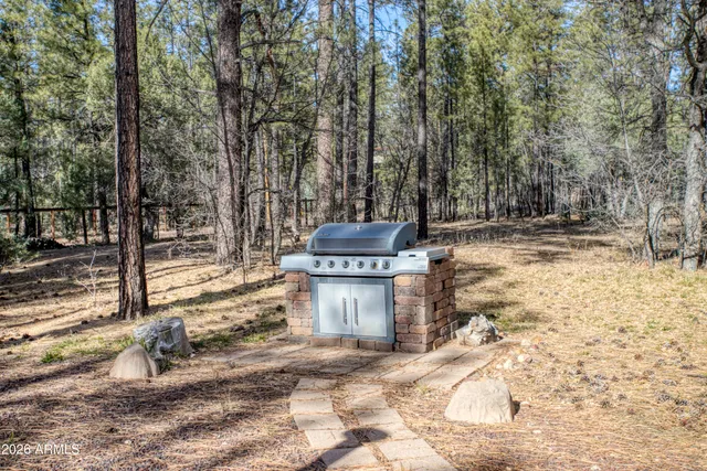 a view of a backyard with trees