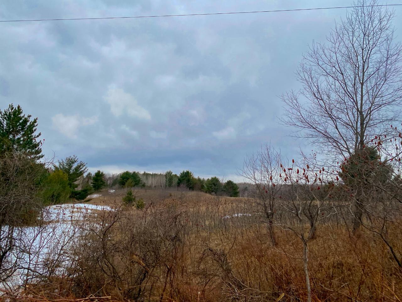 On Bolen Road, Unit LOT 1 2 Bryant, WI 54418 - Photo 20 of 25 Gallery Image 20