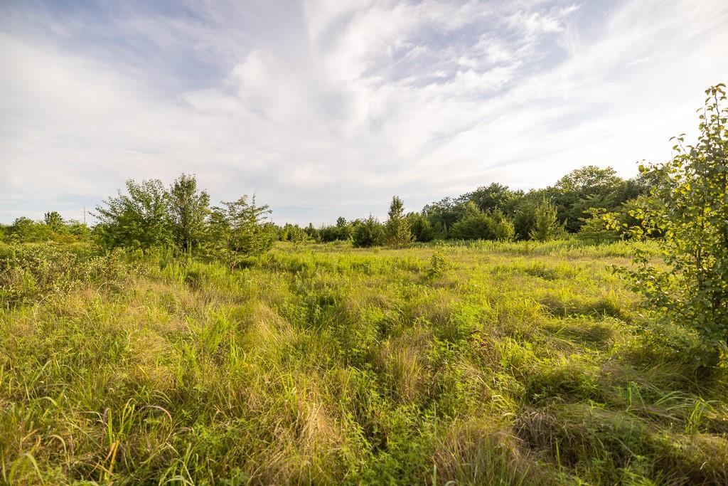 East 267th Road Harrisonville, MO 64701 - Photo 33 of 50