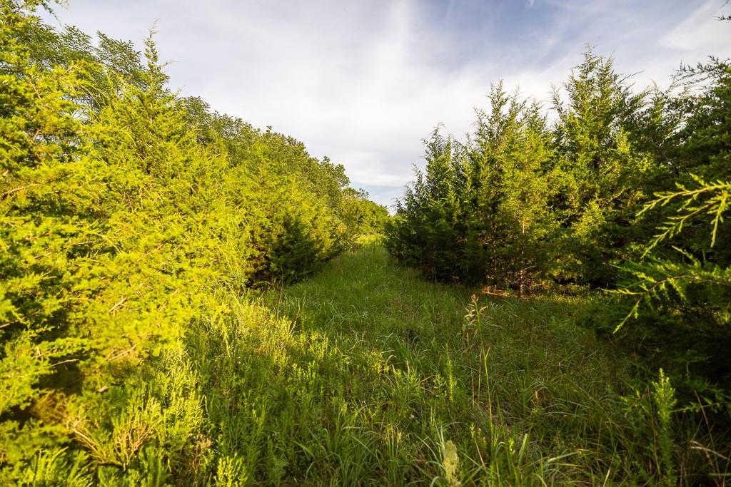 East 267th Road Harrisonville, MO 64701 - Photo 37 of 50