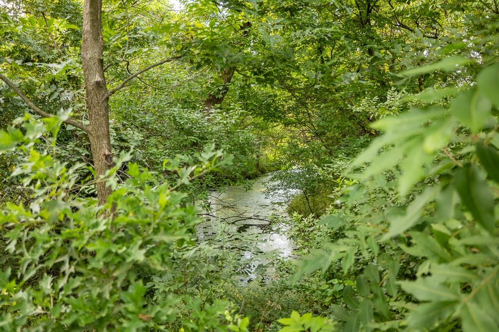 East 267th Road Harrisonville, MO 64701 - Photo 39 of 50