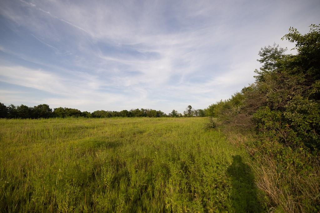 East 267th Road Harrisonville, MO 64701 - Photo 43 of 50