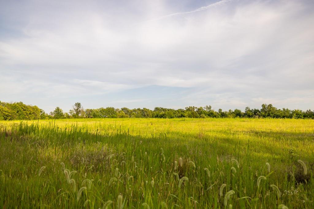 East 267th Road Harrisonville, MO 64701 - Photo 45 of 50