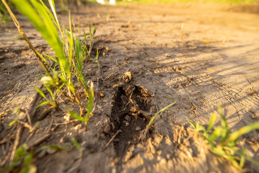 East 267th Road Harrisonville, MO 64701 - Photo 50 of 50