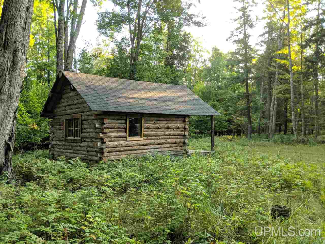 12508 Peterson Road Skanee, MI 49962 - Photo 1 of 9 Gallery Image 1