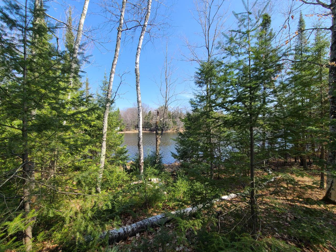 Off Off Bertland Rd Lake Harshaw, WI 54529 - Photo 6 of 19 Gallery Image 6