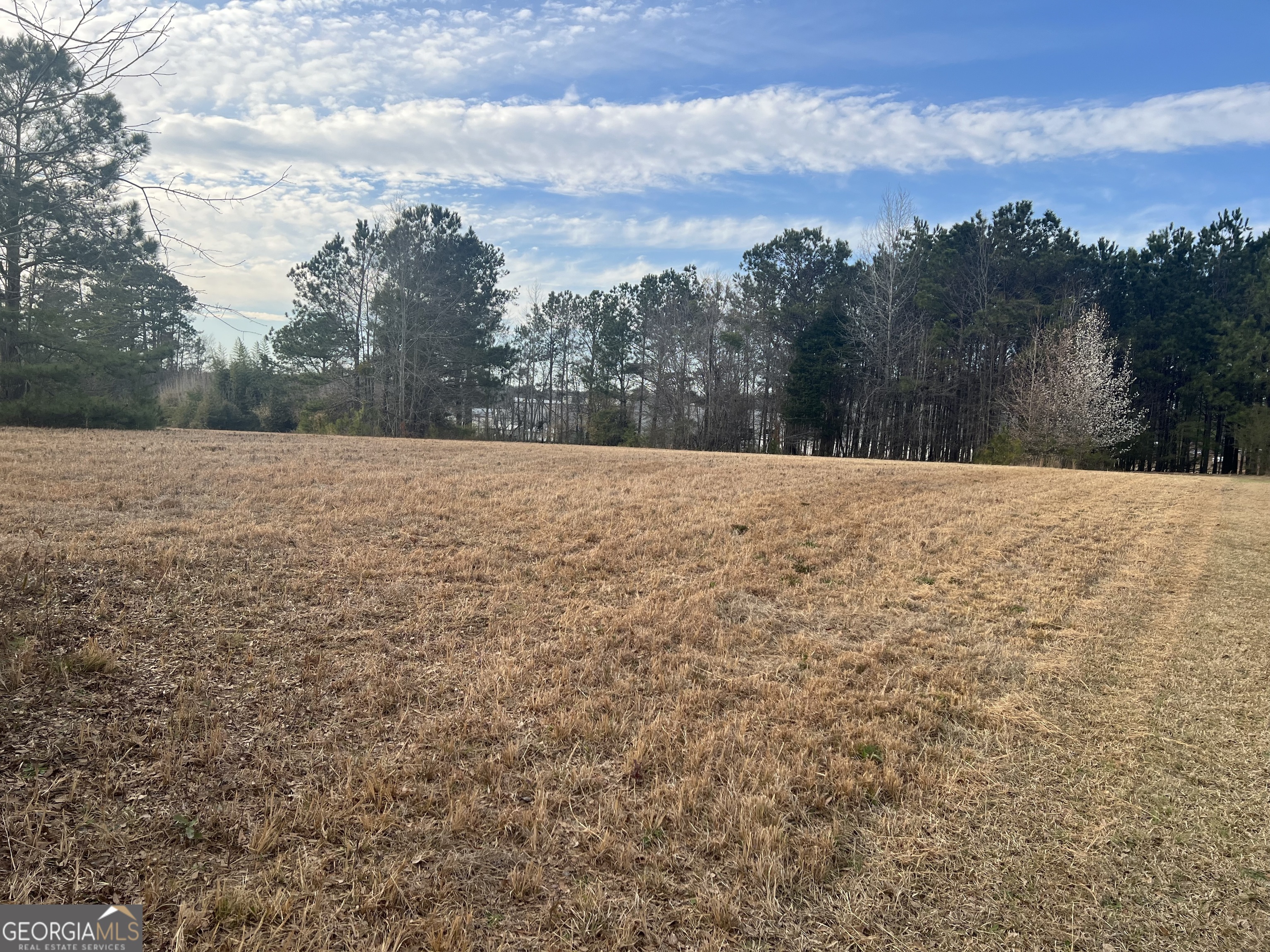 0 Higgins Road Locust Grove, GA 30248 - Photo 1 of 1 Gallery Image 1