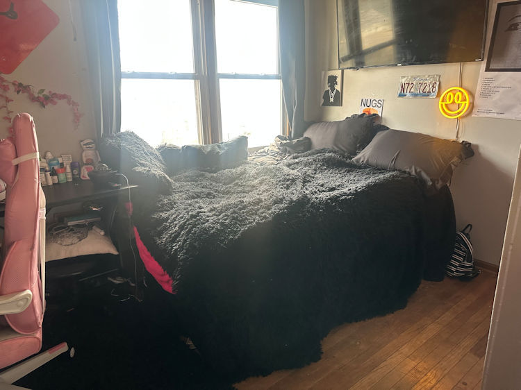 1321 8th Avenue Rochelle, IL 61068 - Photo 9 of 16