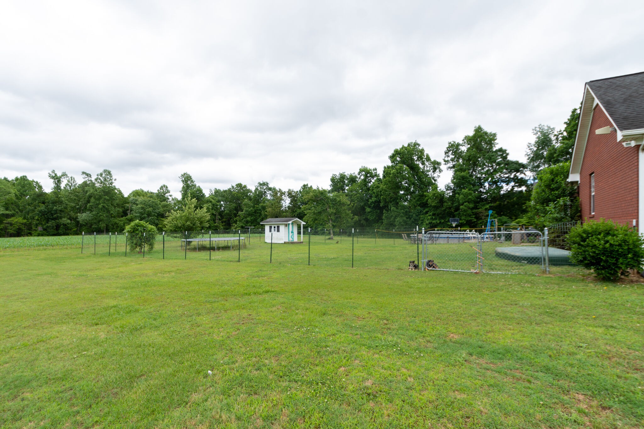 1155 Johnson Branch Road Pulaski, TN 38478 - Photo 39 of 45 a view of a grassy field