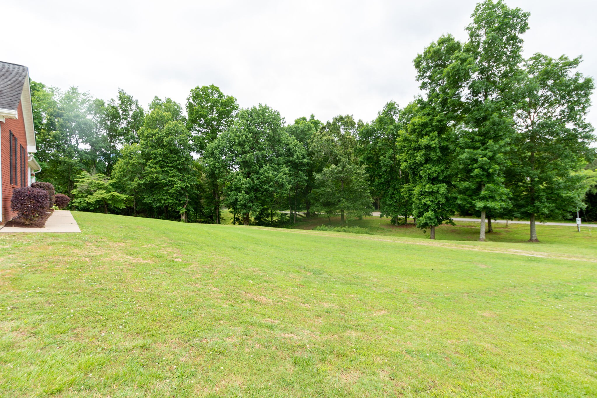 1155 Johnson Branch Road Pulaski, TN 38478 - Photo 4 of 45 a view of a big yard with a trees