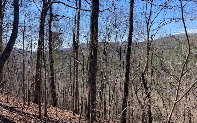 Jason Court Ranger, GA 30734 - Photo 2 of 7 Additional View