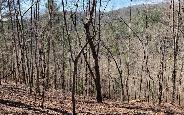 Jason Court Ranger, GA 30734 - Photo 3 of 7 Additional View