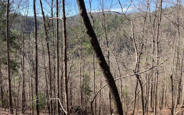 Jason Court Ranger, GA 30734 - Photo 4 of 7 Additional View