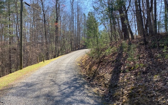 Jason Court Ranger, GA 30734 - Photo 5 of 7 Additional View