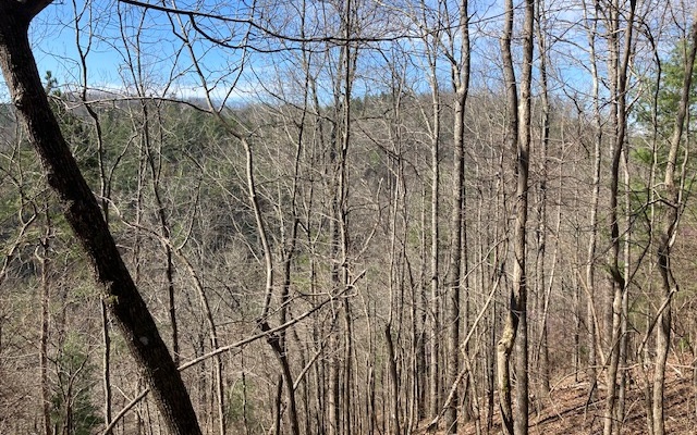 Jason Court Ranger, GA 30734 - Photo 6 of 7 Additional View