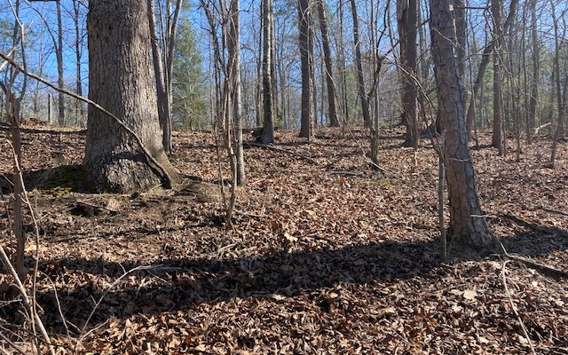 Jason Court Ranger, GA 30734 - Photo 7 of 7 Additional View