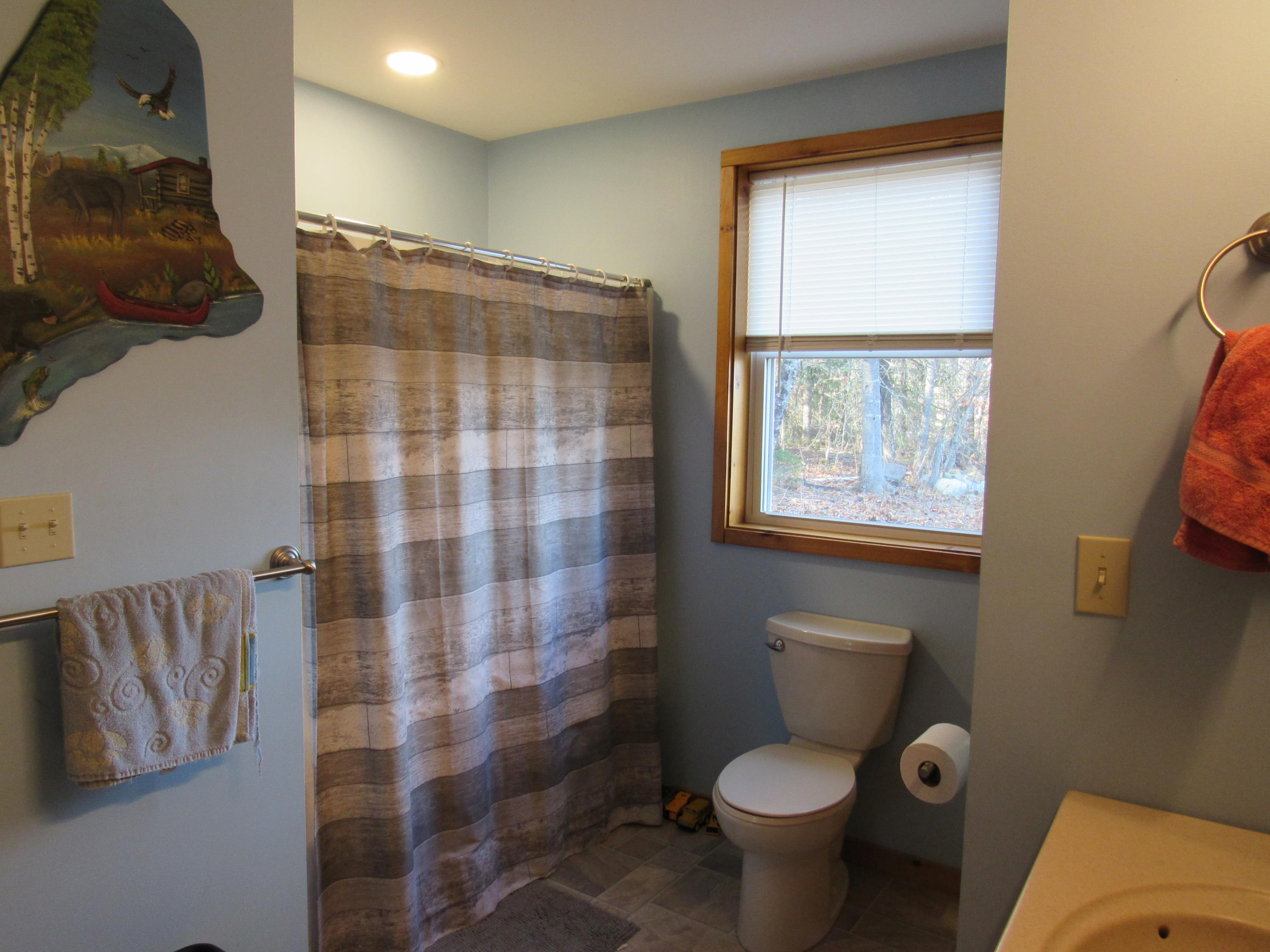 114 Wellington Road Parkman, ME 04443 - Photo 13 of 25 IMG_1405