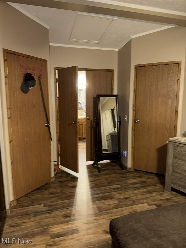 56 3rd Street Rayland, OH 43943 - Photo 30 of 46 Bedroom with crown molding and dark wood-style floors