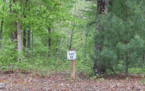 42 Ivy Ridge Estates Blue Ridge, GA 30513 - Photo 1 of 1 Main View