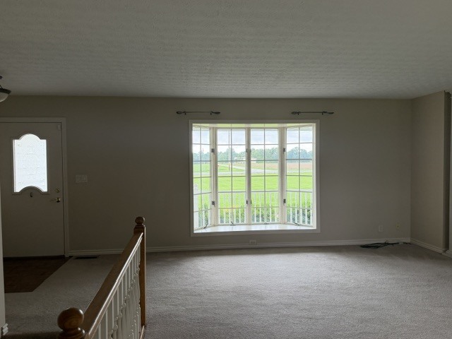 11426 East Radisson Road Mount Vernon, IL 62864 - Photo 12 of 56