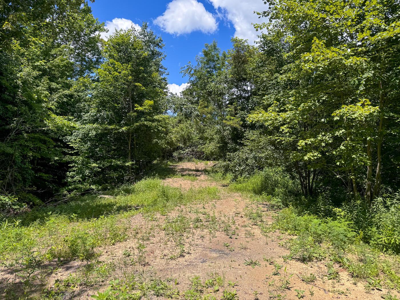 4313 Flint Ridge Road Northeast, Unit INT RIDGE TRACT 18 ACRE) Crooksville, OH 43731 - Photo 15 of 53 CT-15