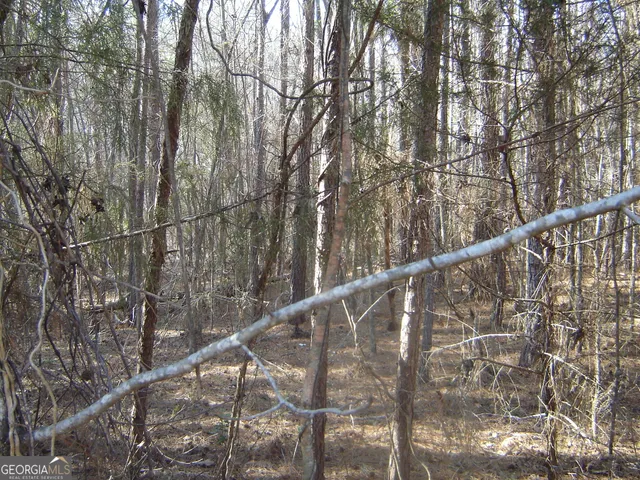 $9,500 | Lot 17 Cambridge Court, Lanett, AL 36863