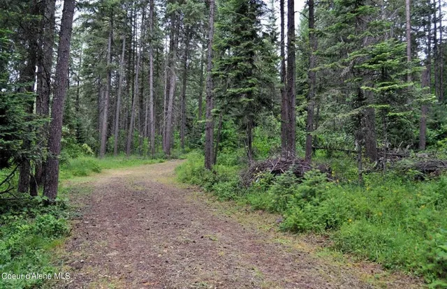 $290,000 | 60317 Highway 200, Clark Fork, ID 83811