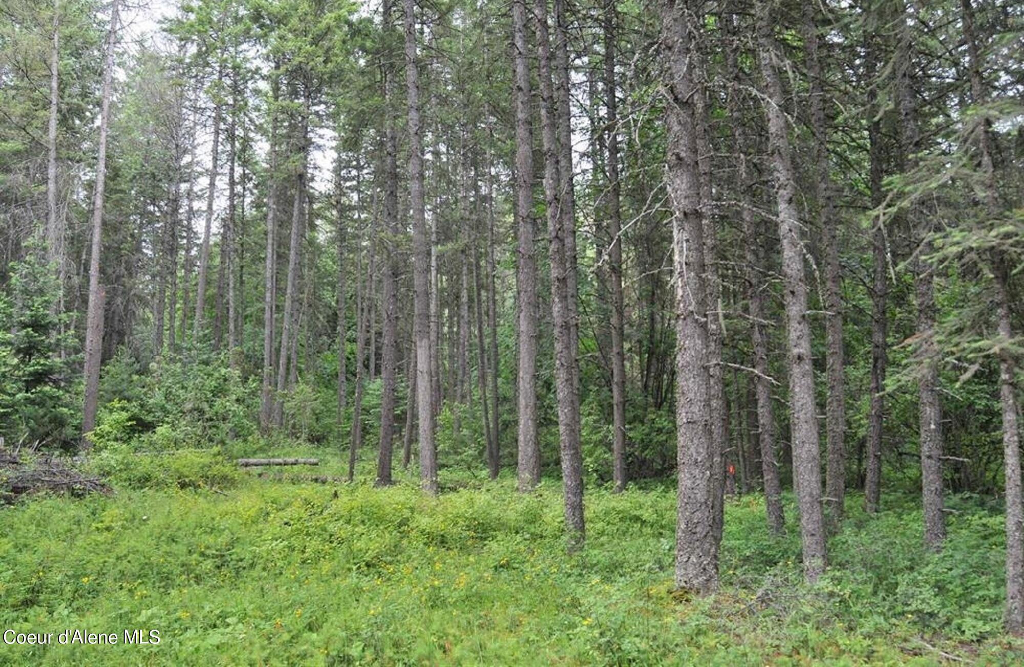 60317 Highway 200 Clark Fork, ID 83811 - Photo 14 of 18 14