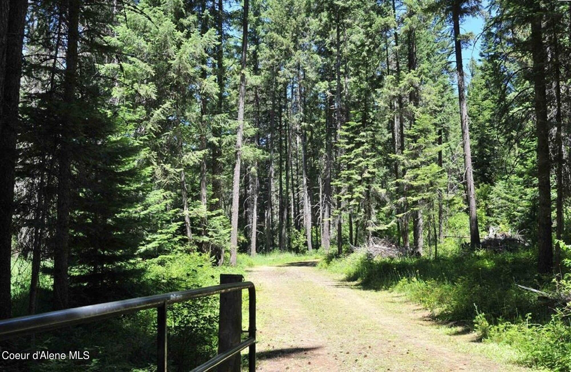 60317 Highway 200 Clark Fork, ID 83811 - Photo 15 of 18 15