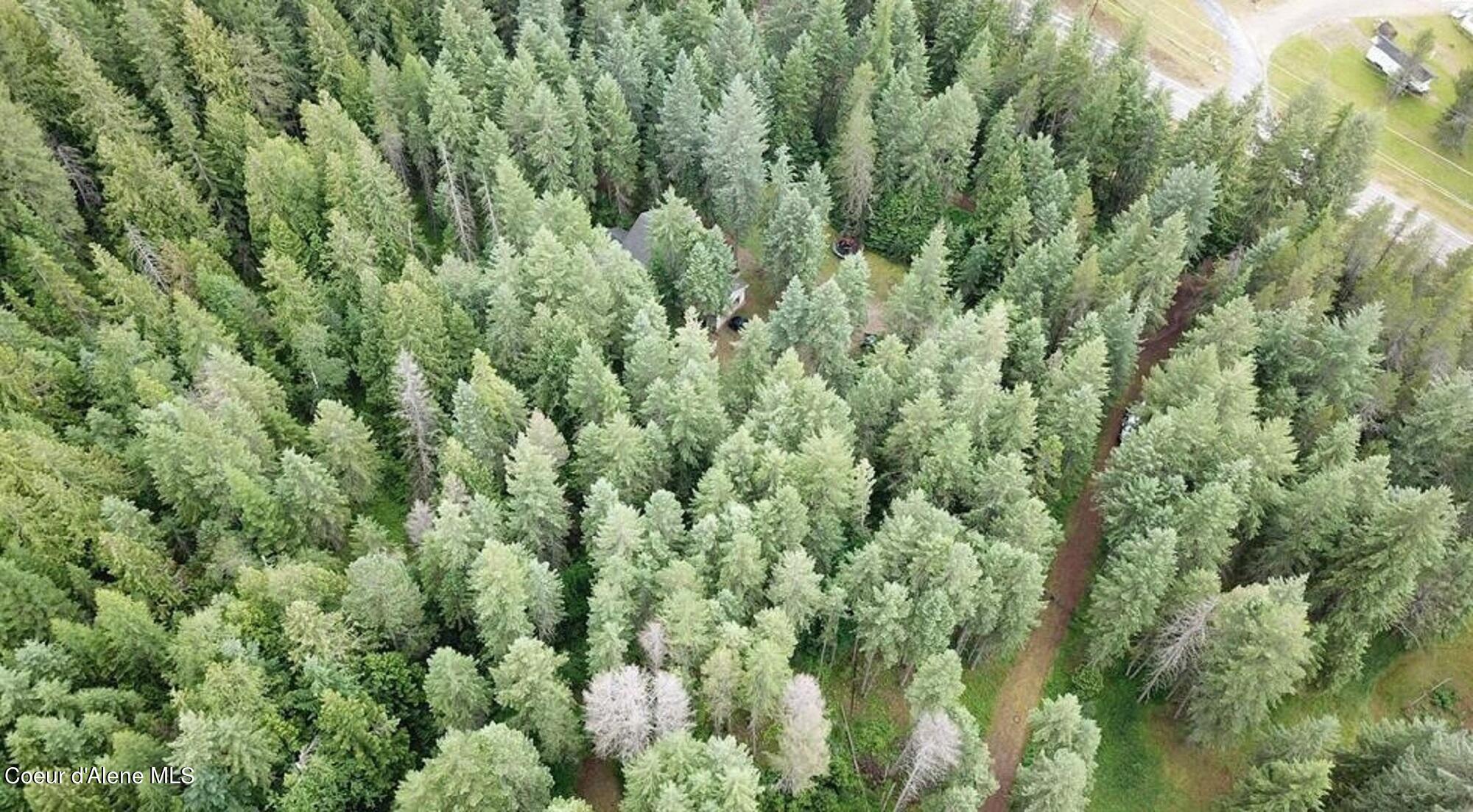 60317 Highway 200 Clark Fork, ID 83811 - Photo 17 of 18 17