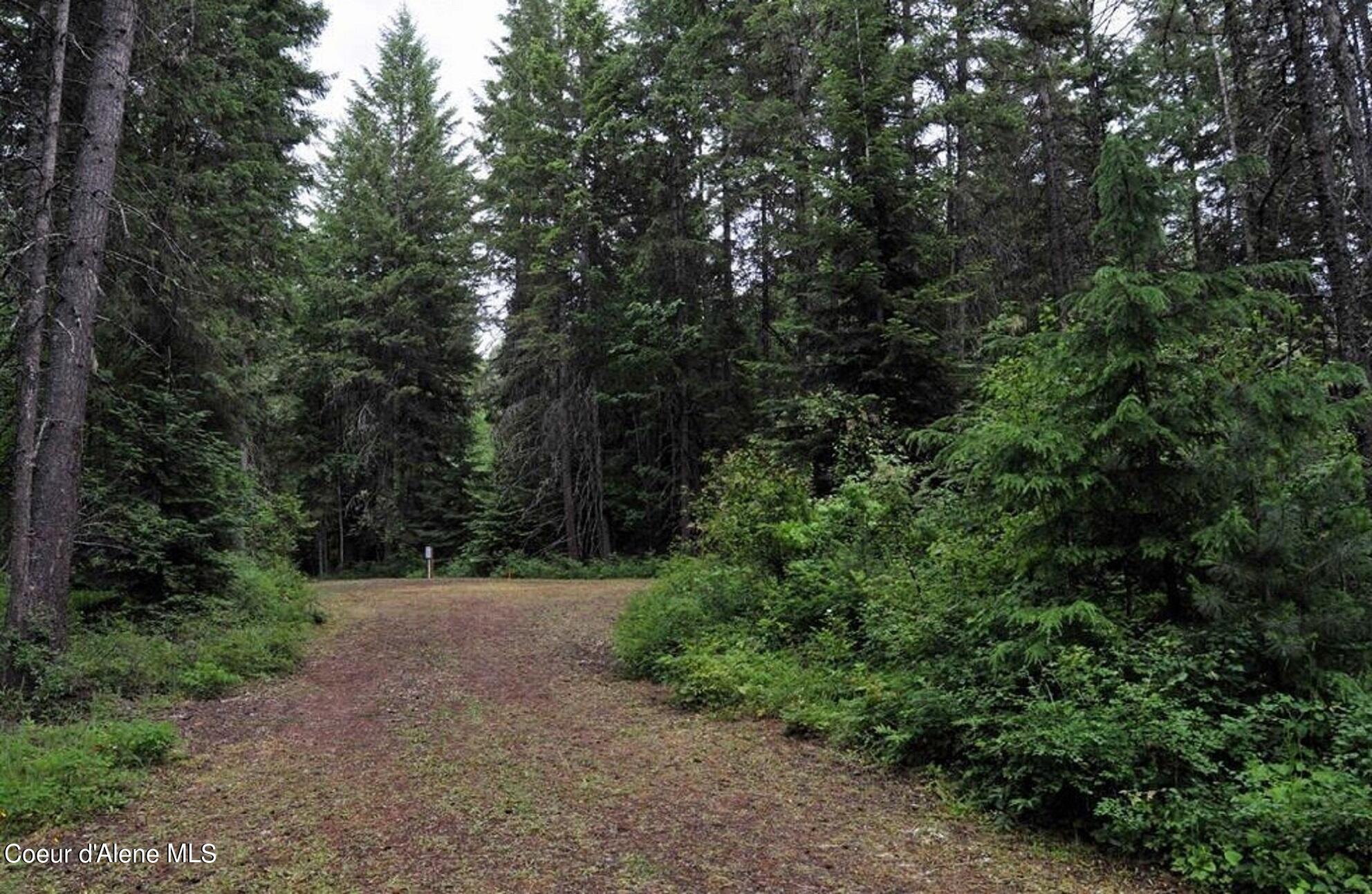 60317 Highway 200 Clark Fork, ID 83811 - Photo 2 of 18 2